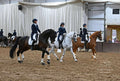 Hartpury Arena, Gloucester, Friday 10th April