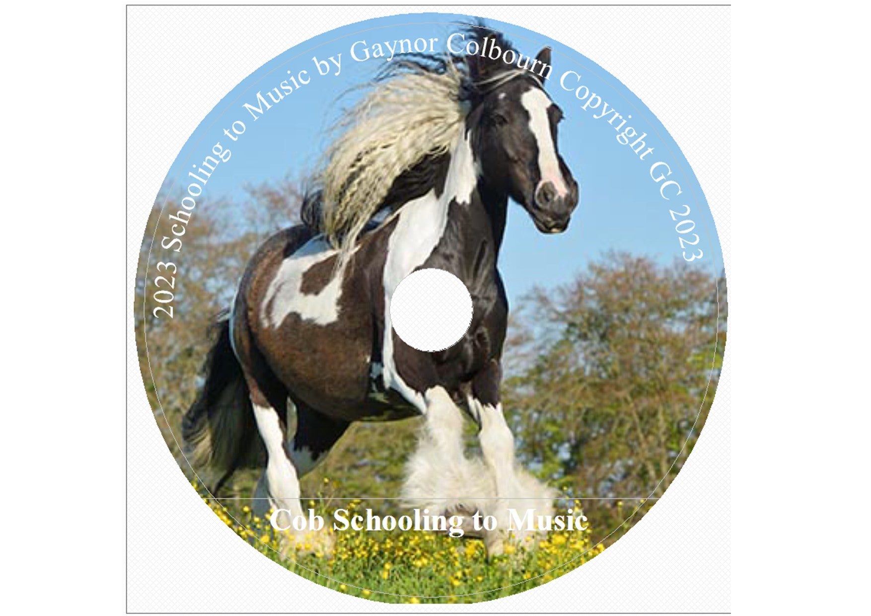 SCHOOLING TO MUSIC DOWNLOAD COB