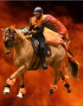 Reaseheath  Halloween Spectaular, Cheshire, October 31st